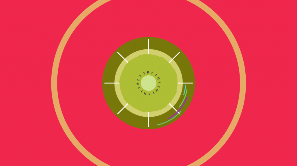 Kiwi abstracto parte de logotipo animado en motion graphics para intro de video corporativo