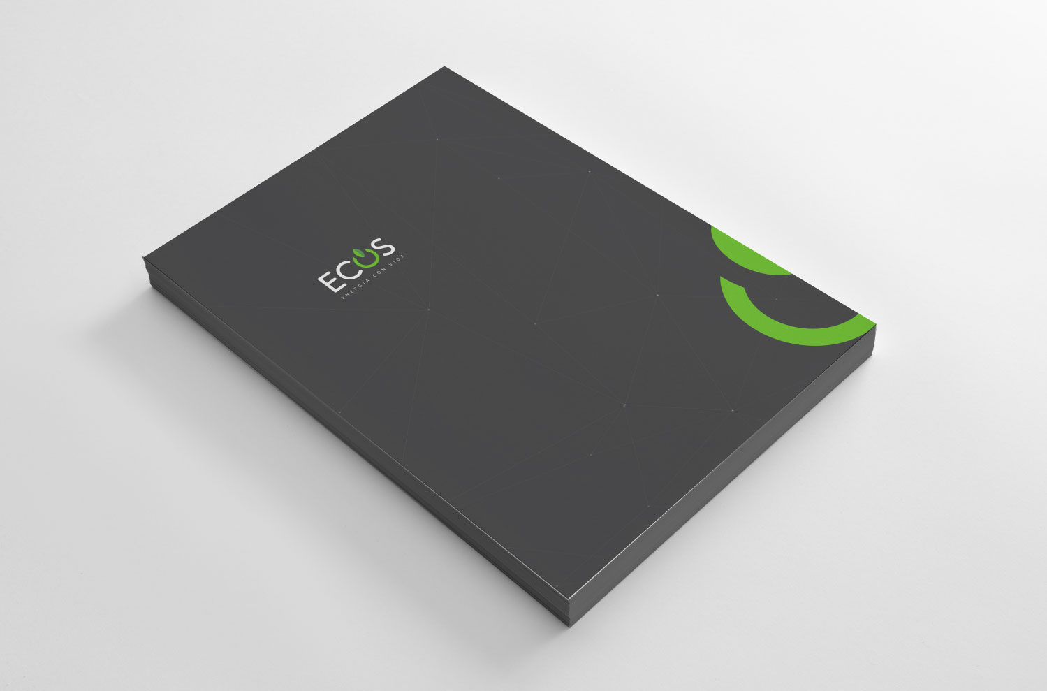 logotipo-identidad-corporativa-portada-ecos