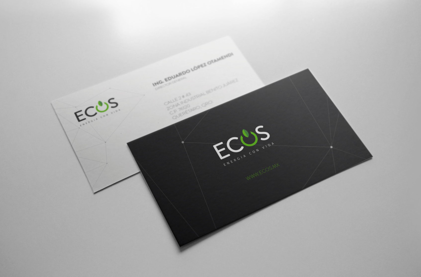 diseño de imagen corporativa tarjetas de presentación marca ecos